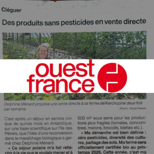 Aux Jardins de Kerchopine, à Cléguer, des produits sans pesticides en vente directe

Par Yvonnick Le Coupannec
Ouest France