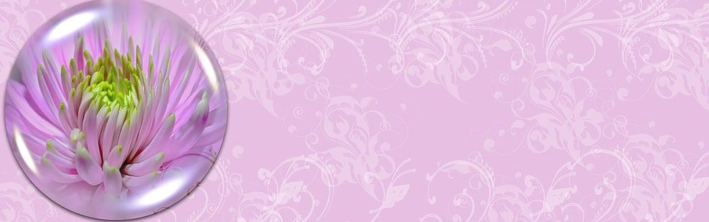banner_image