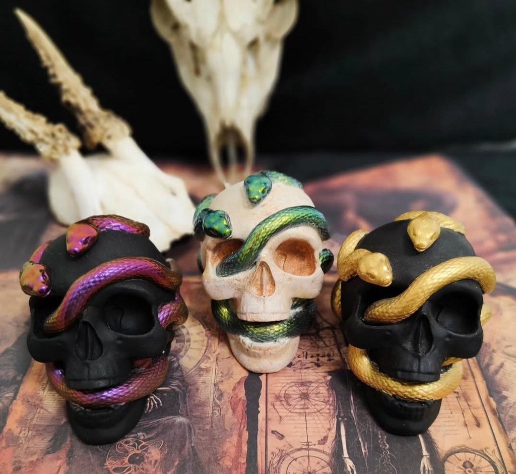 Statua in Resina di Cranio e Serpente – Amuleto di Protezione e Trasformazione
