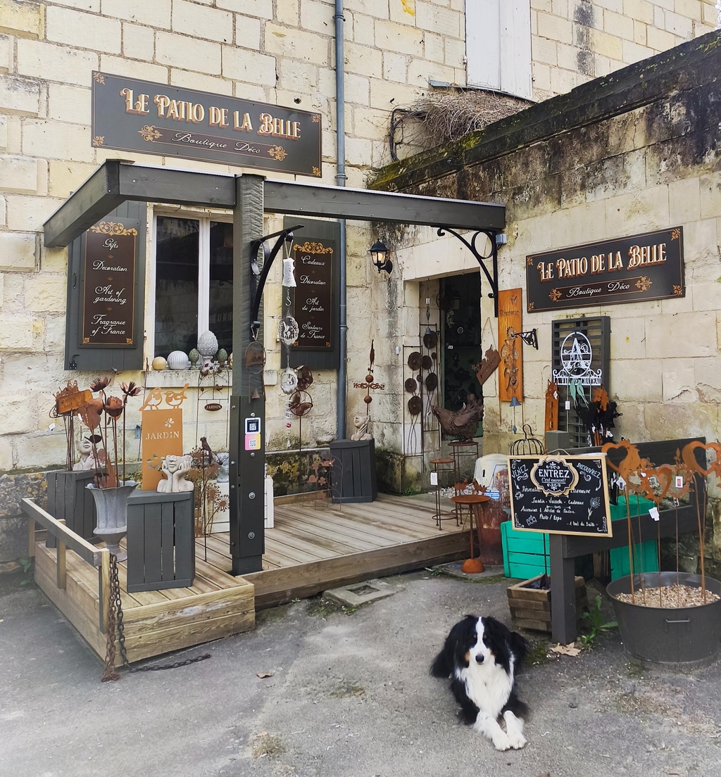 Boutique décoration intérieure et extérieure. Jardin. Accessoires de saison. Bijoux. 