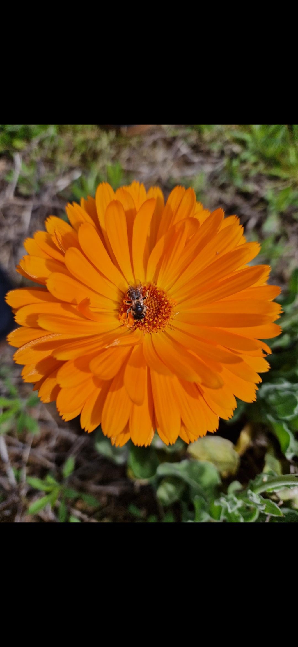 banner_image