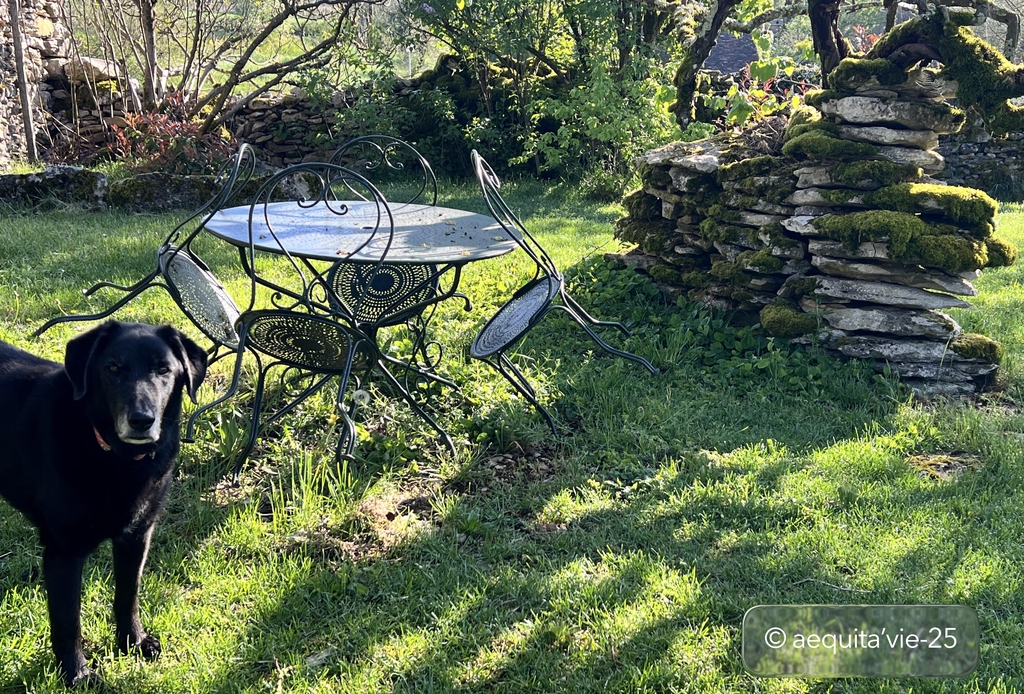Apportez vos piques nique, prenez le temps sous les arbres et partez ensuite pour l'activité.
