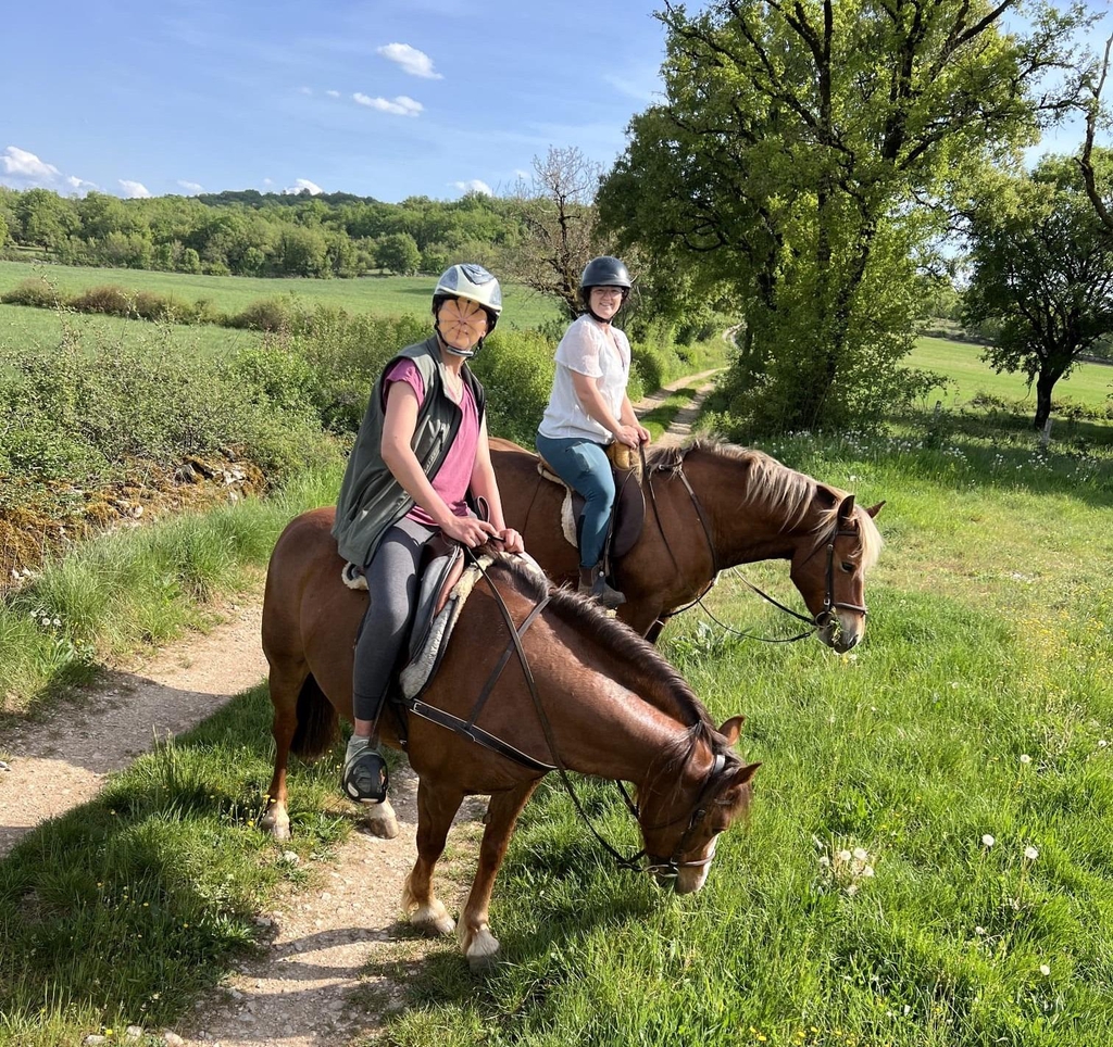 Centre de tourisme équestre
Balade à cheval
Balade en Calèche
Balade poney
Famille