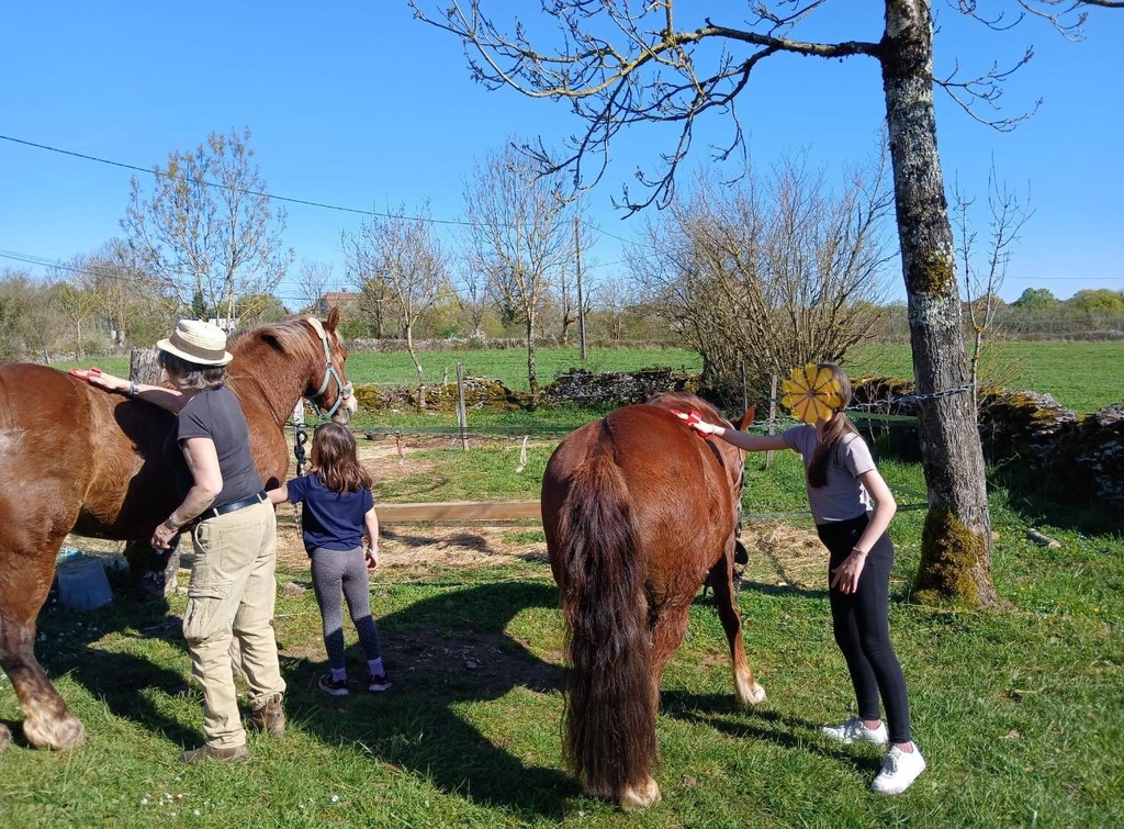 Centre de toursime équestre
Lot Tourisme, 
Balade en Calèche, 
Balade à cheval.
Balade poney
Animation en famille