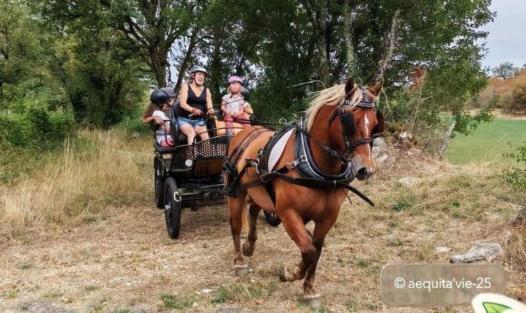 Une découverte d'un site exceptionnel en Calèche ou à cheval. Tourisme équestre et Equithérapie.