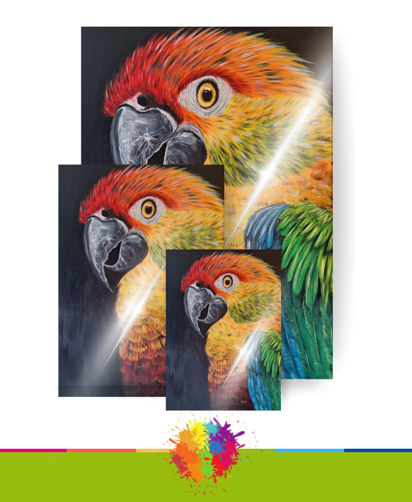 Kleurrijke dierenschilderijen als print op premium Acrylglas