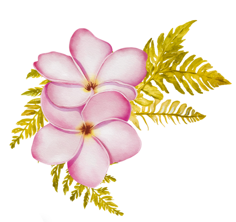 store_logo