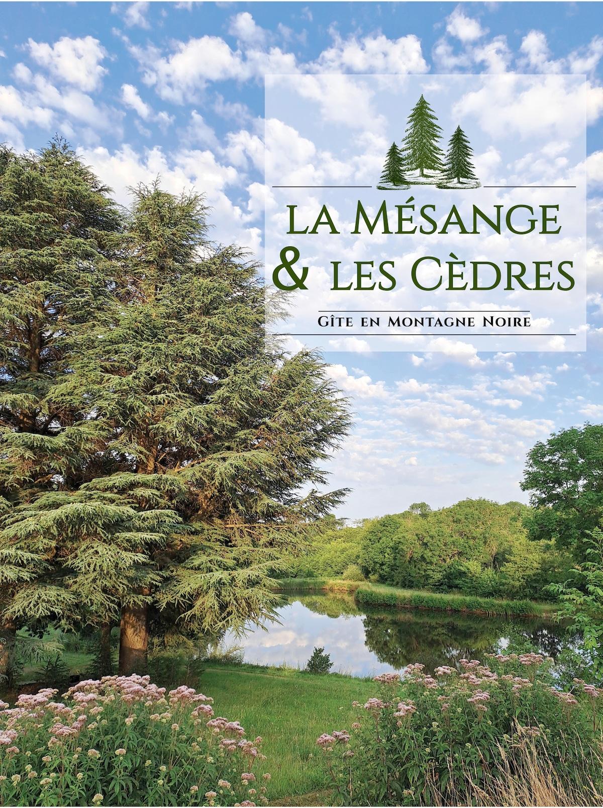 gite nature lac privé calme confortable