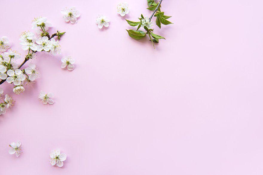 banner_image