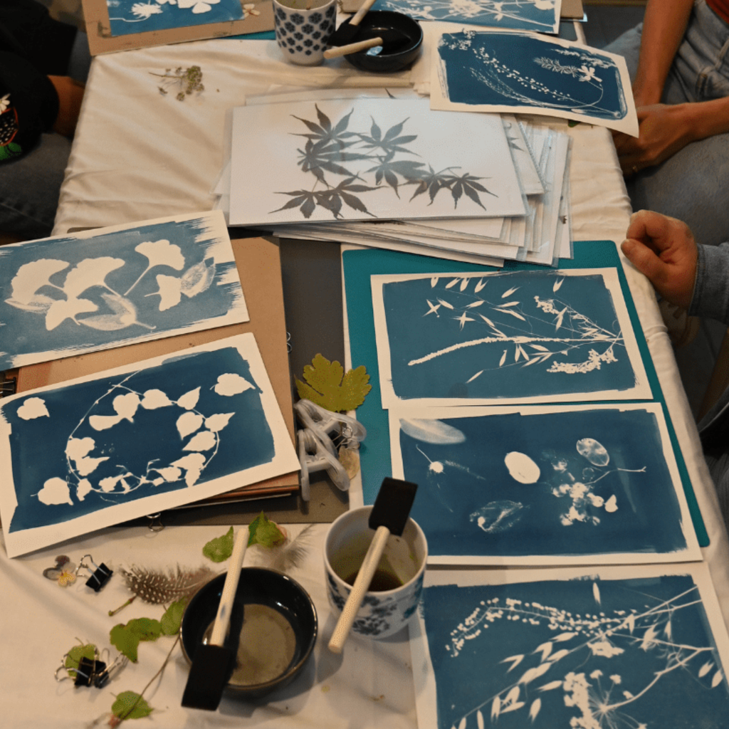 Découvrez le cyanotype, une technique alternative de photographie 