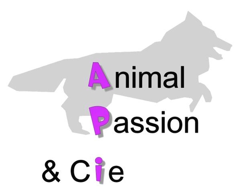 company_logo