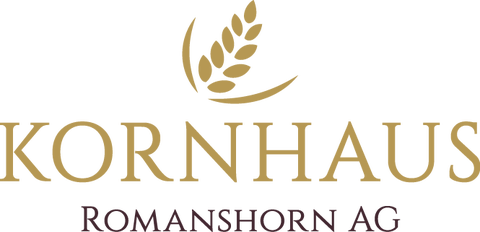 Kooperation von Kornhaus Romanshorn und House of Digital Art
