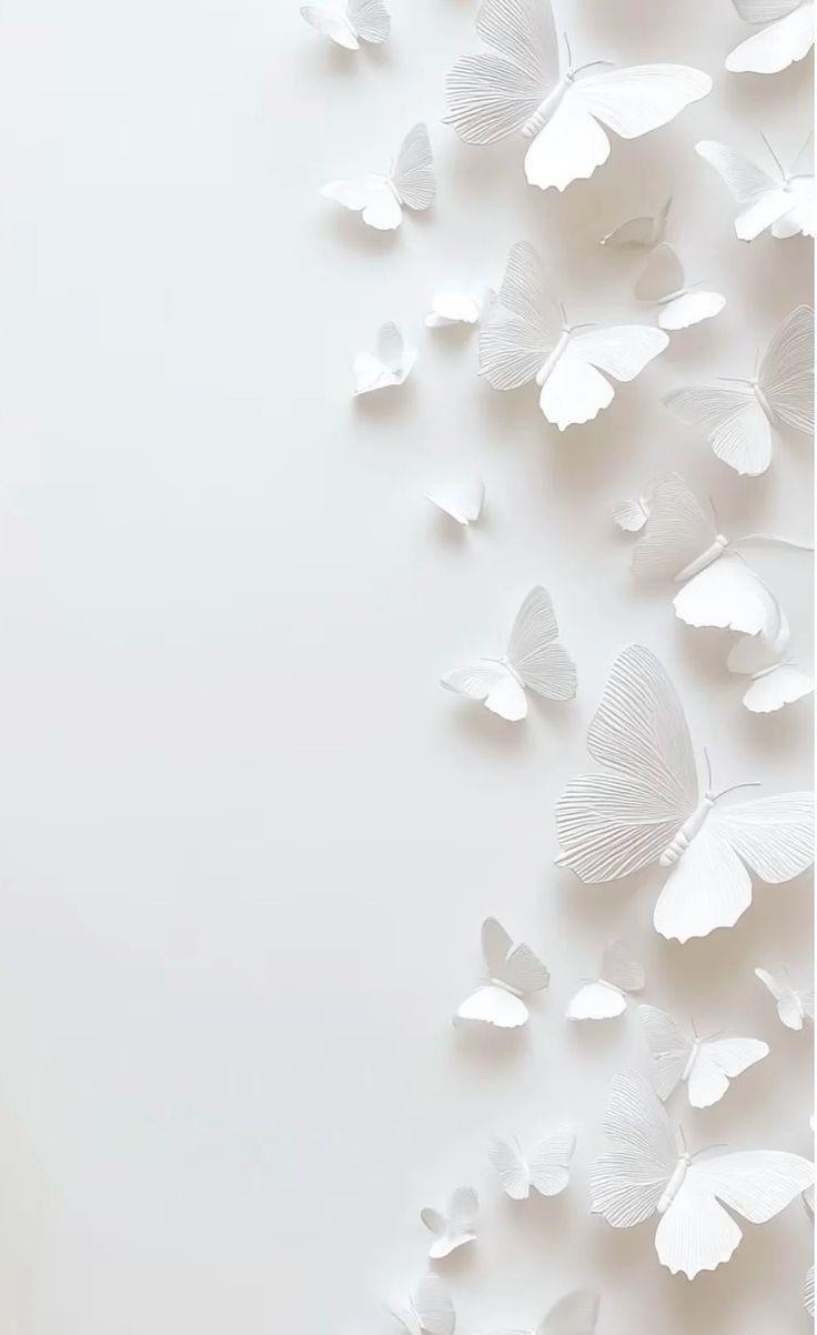 product_list_image_cover