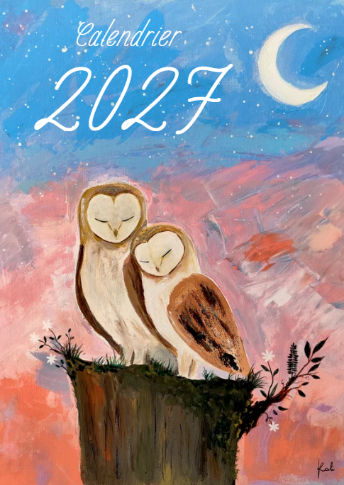 Précommande calendrier 2027