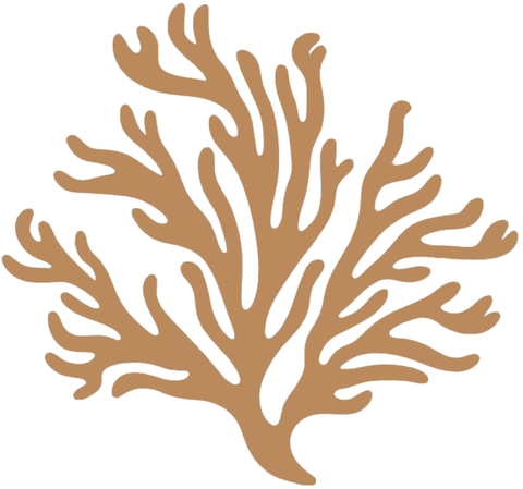store_logo