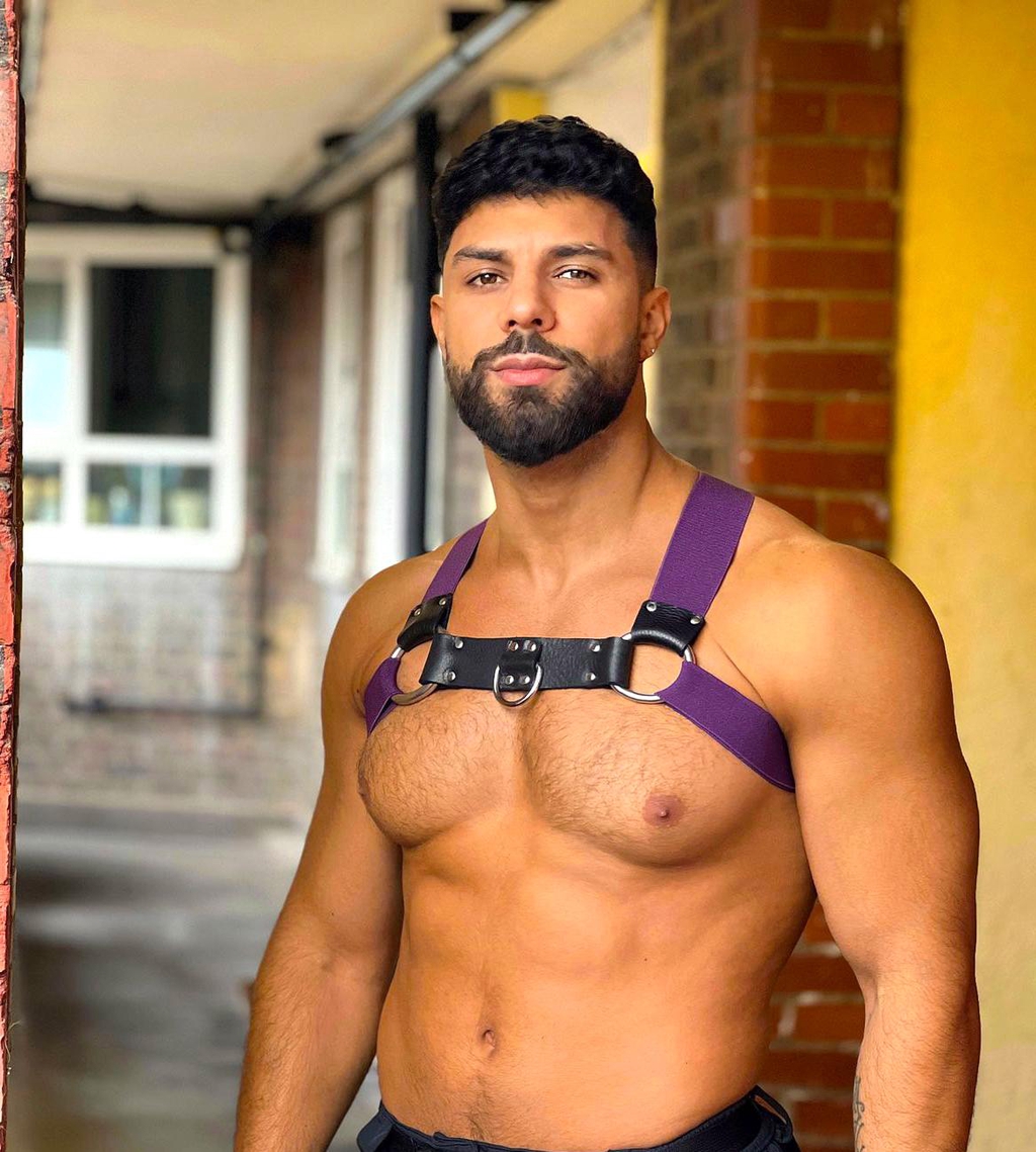 A purple chest harness worn by male model at outdoor location