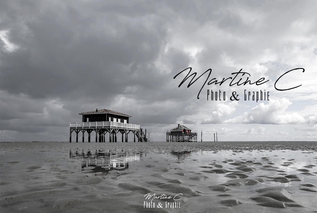 Cabanes Tchanquées ile aux oiseaux Bassin d'Arcachon