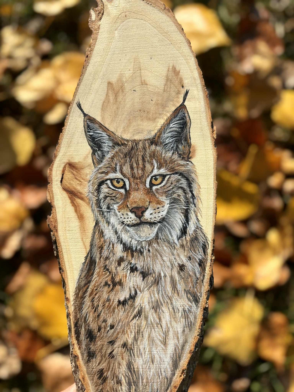 product_list_image_cover