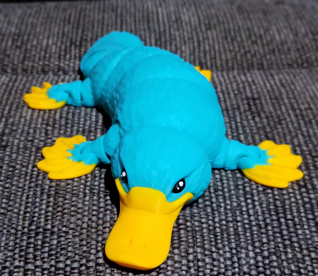 Custom platypus print for customer