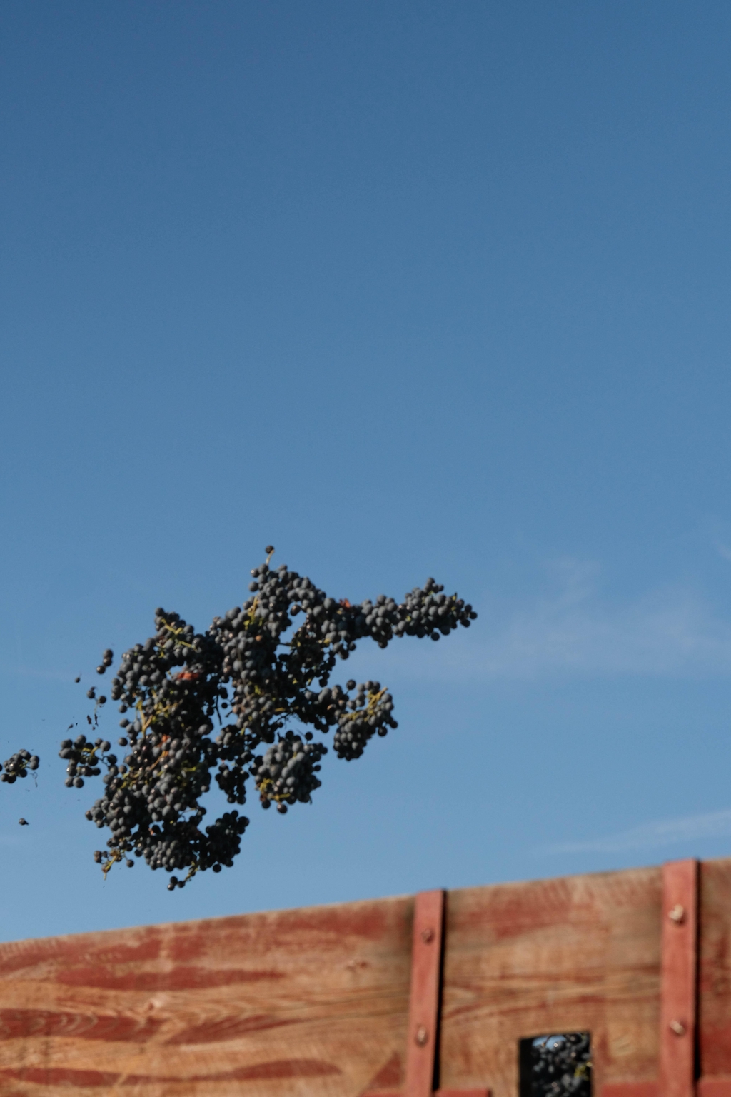 banner_image