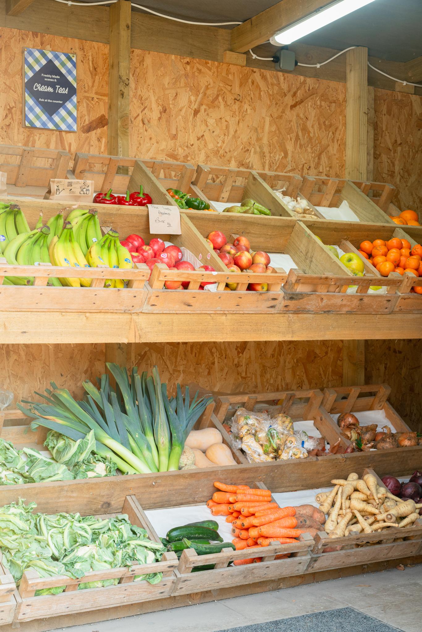 Organic vegetables grown on our farm in Gweek, Cornwall