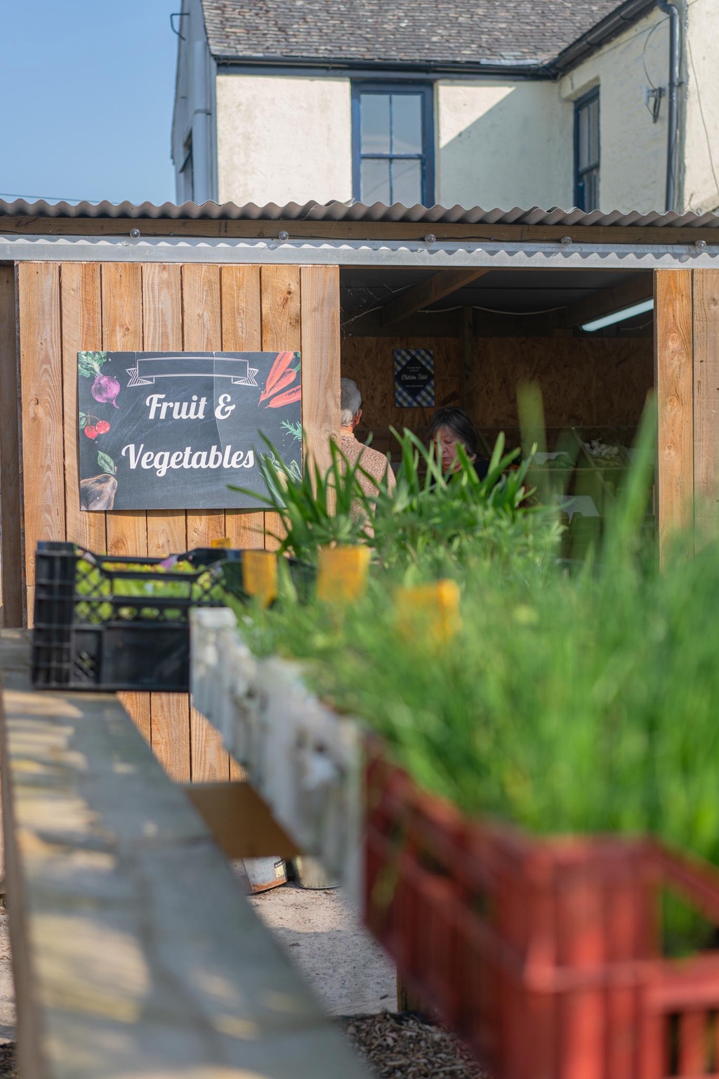 Organic herbs and vegetables at gweek village stores