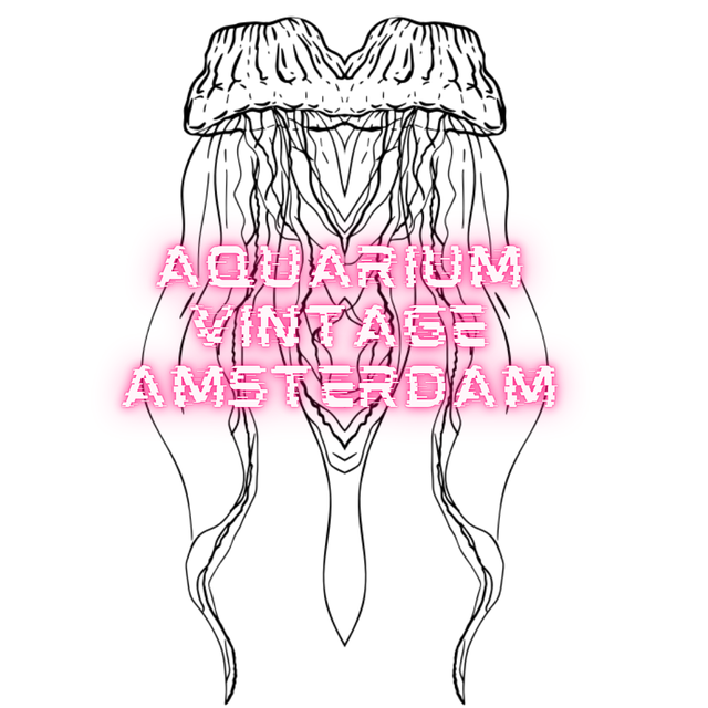 aquarium vintage amsterdam: curated y2k & 90's vintage clothing store