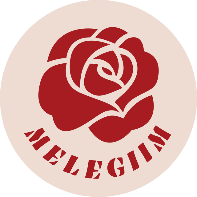 store_logo