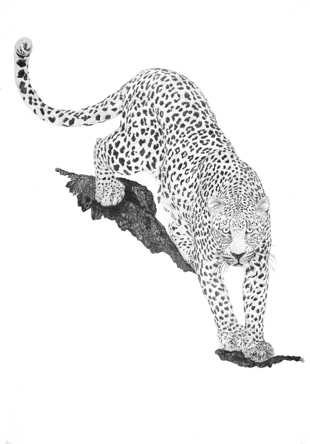product_list_image_cover