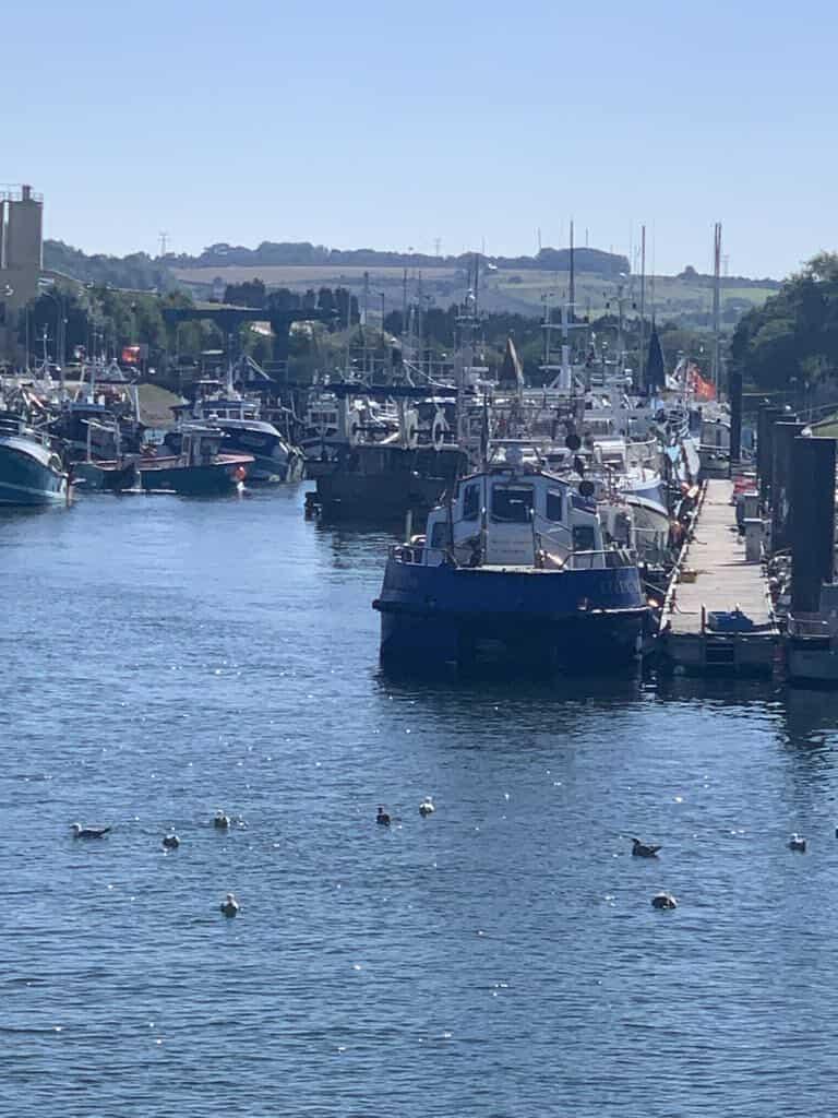 Lady Marcass est une boutique d'artisanat marin situé à Destination Le Tréport - Mers-Les-Bains. Boutique de souvenirs authentique du Tréport et de la mer. Création à la main en bois flotté.

lady marcass décoration marine boutique de souvenirs Le Tréport Mers-Les-Bains lampe en bois flotté bateau marin goéland panneau pancarte personnalisée chambre de princesse chambre de pirate criel-sur-mer dieppe eu les villes soeurs destination mers-le tréport tirelire en bois jouet en bois
box livre mystère box cadeau livre surprise romance coffret polar romantasy dark romance jeunesse Danse les vagues 10 ans 11 ans 12 ans 13 ans 14 ans fille garçon anniversaire box de noël automne Lady Marcass décoration marine artisanat français boutique souvenir de bord de mer Le Tréport accessoires de lecture marque-page box de noël cadeau anniversaire enfant lecteur lectrice ado cadeau de noël sabre en bois panneau nom de maison nom de cabine de plage sur-mesure phare du Tréport