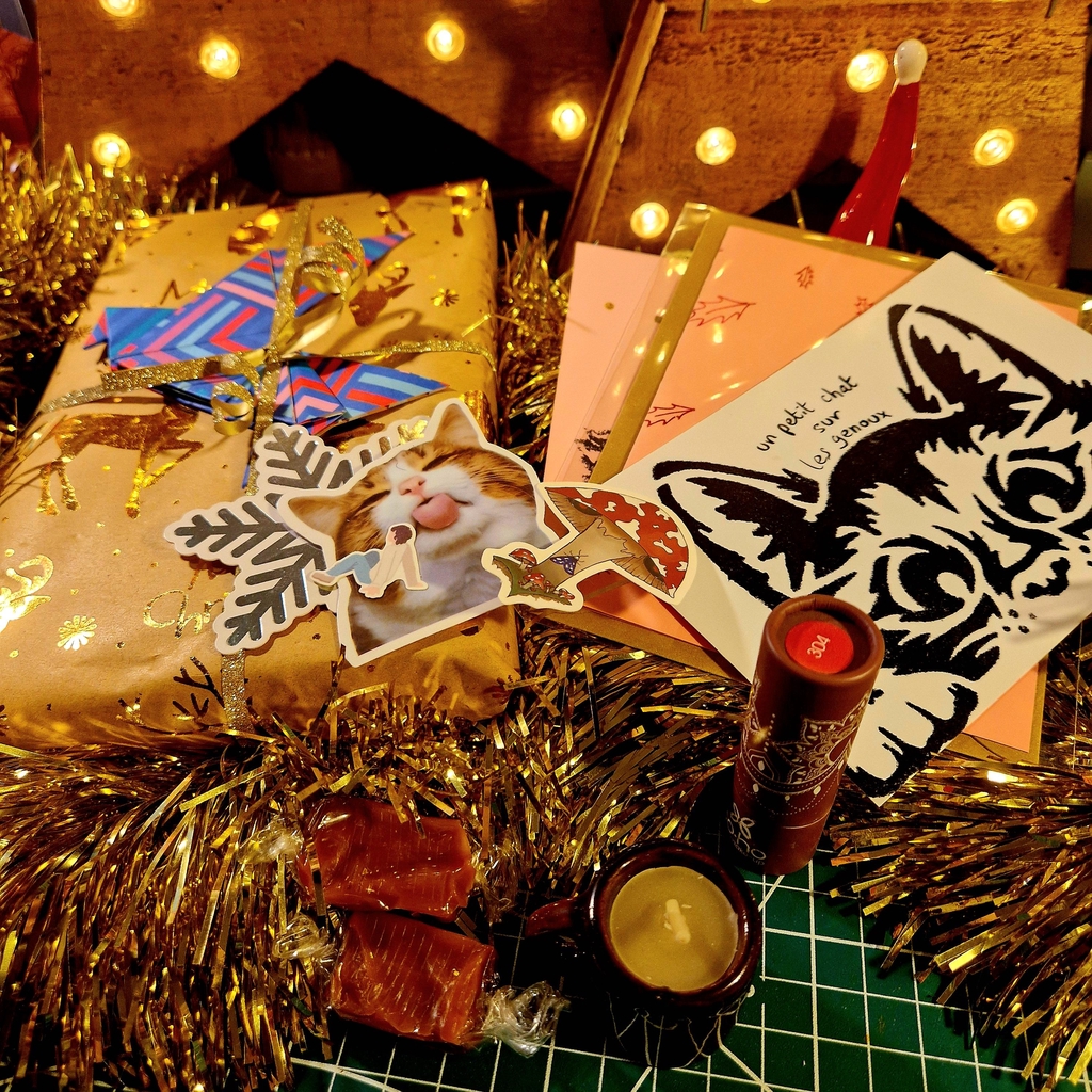 Suis-moi sur Instagram Danse Les Vagues Box livre mystère coffret cadeau livre surprise romance romantasy fantastique  thriller coffret polar noël box livre d'automne box de noël en édition limitée Goodies et merch cosy Librairie artisanale indépendante lady marcass décoration marine artisanat de bord de mer Le Tréport Mers-les-bains boutique de souvenirs normandie français