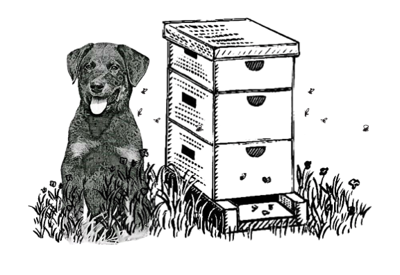 store_logo