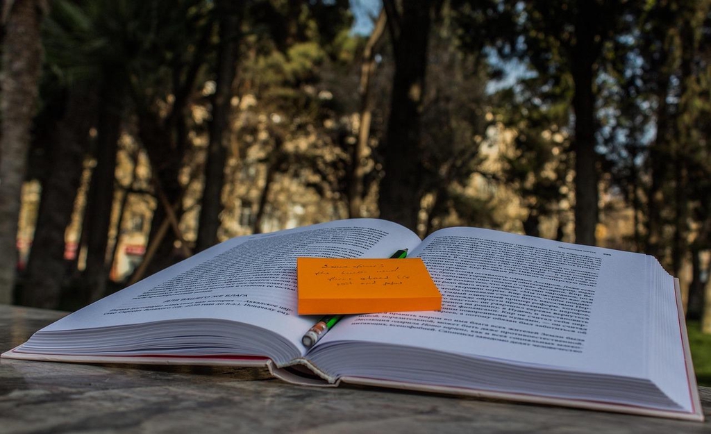 Bienvenue sur la boutique de Liliane et Ladrouille