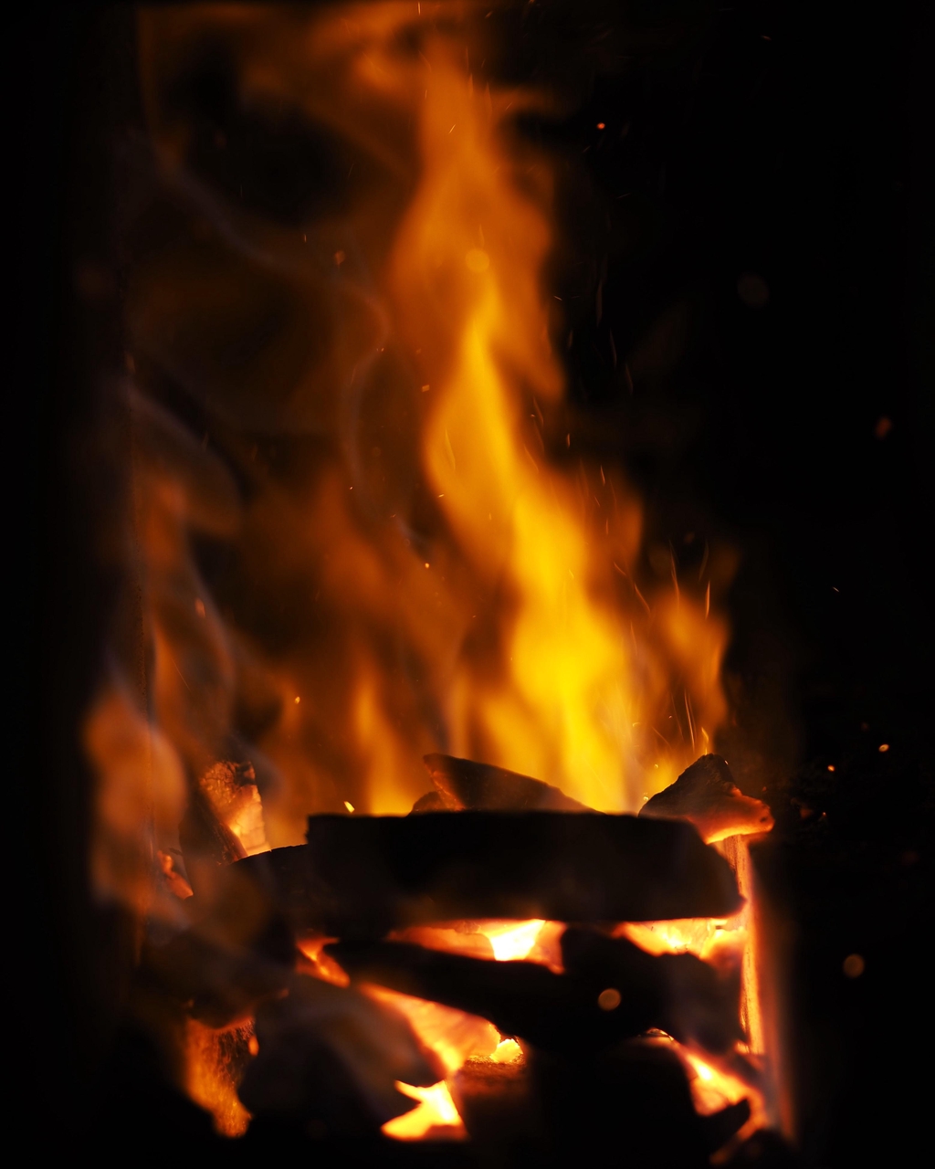 Banner image