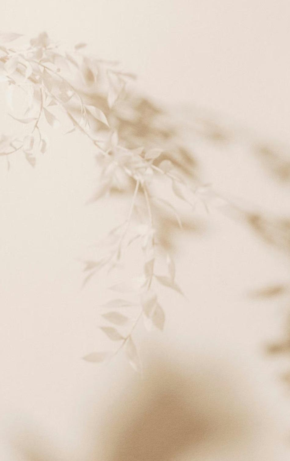 Pampilles interchangeables avec créoles en acier inoxydable 