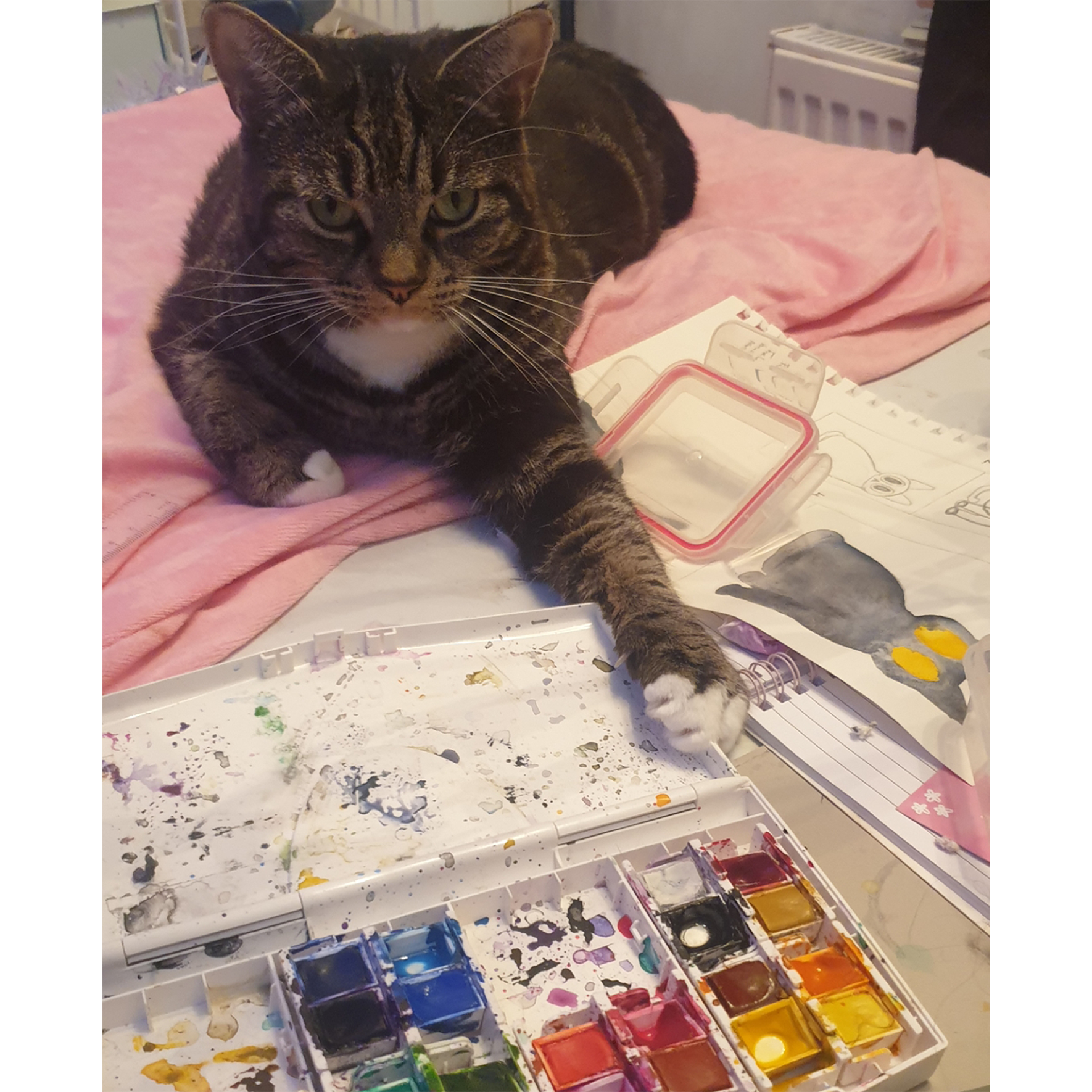 MY ART SUPPLIES