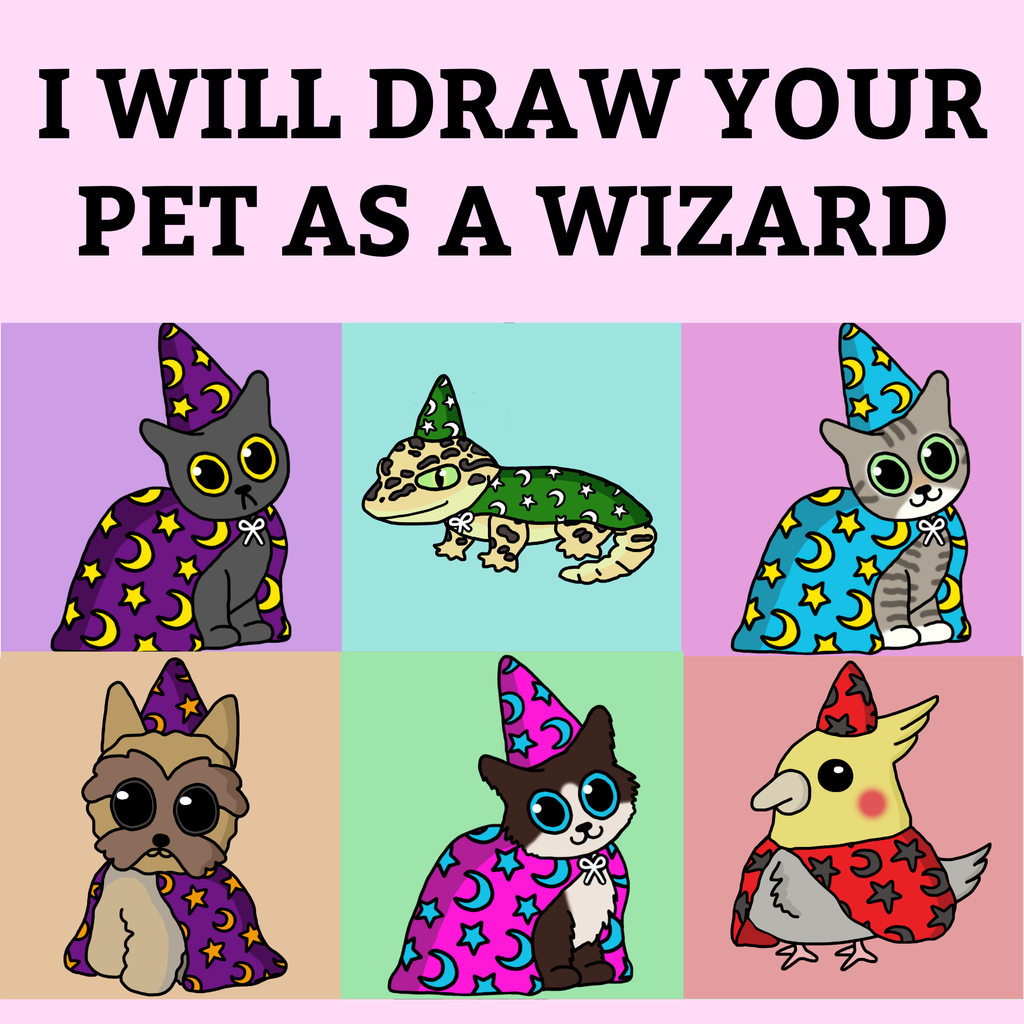 I will draw your pet as a wizard