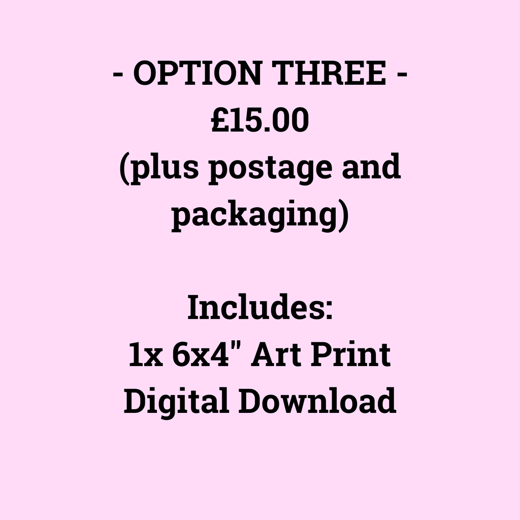 - OPTION THREE -
£15.00
(plus postage and packaging)

Includes:
1x 6x4" Art Print
Digital Download