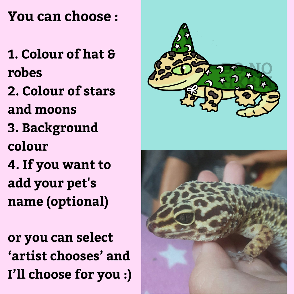 ou can choose :

1. Colour of hat & robes
2. Colour of stars and moons
3. Background colour 
4. If you want to add your pet's name (optional)

or you can select ‘artist chooses’ and I’ll choose for you