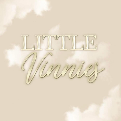 Little Vinnies