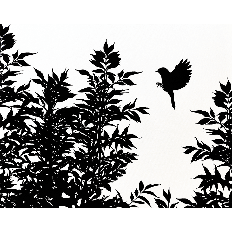 Présentation de la collection "Les odes naturalistes"