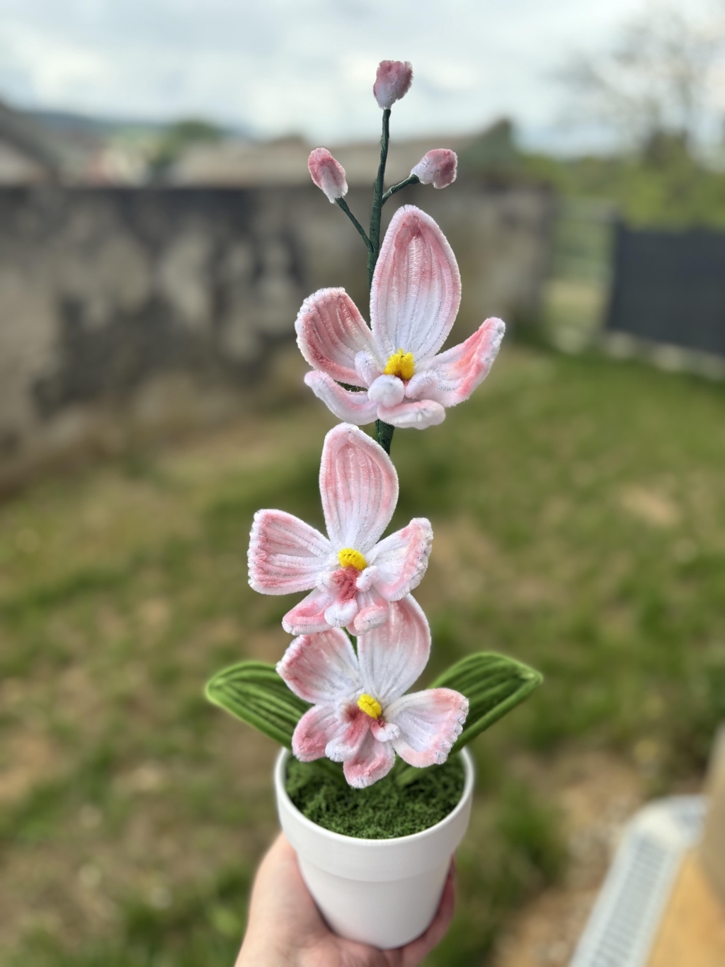 banner_image