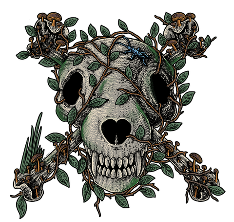 Laura Motin Grave
auteure aventurière 