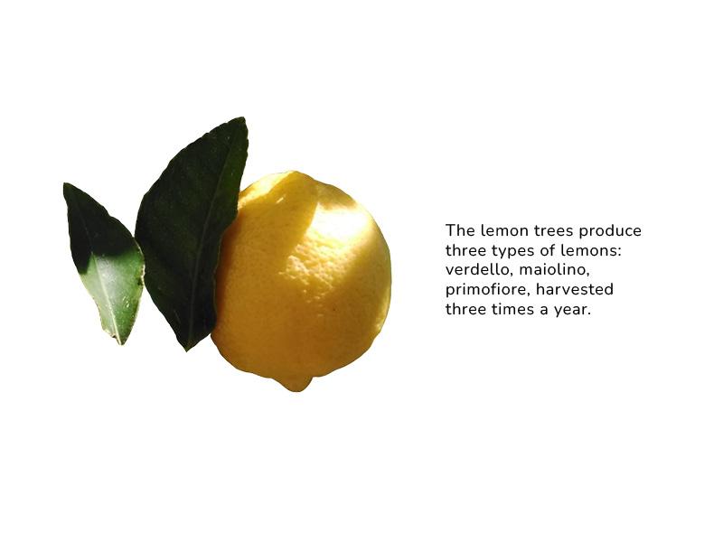 banner_image
