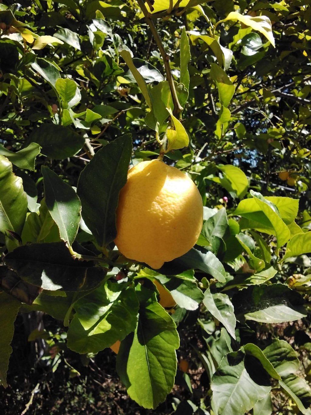 banner_image