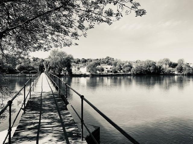 charente nouvelle aquitaine fleuriste fleur atelier floral séché stabilisé