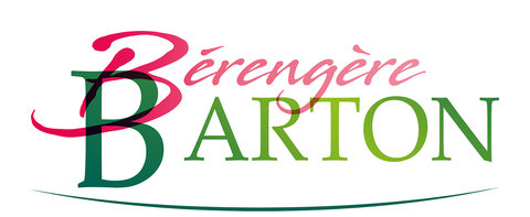 Bien-être, Réflexologie plantaire Saintes, bougies parfumées, détente, orgonites, massages, gestion du stress, gestion de la douleur.