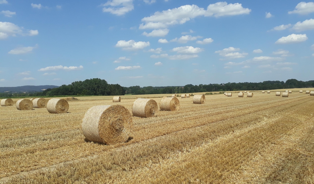 Heu- und Strohrundballen 