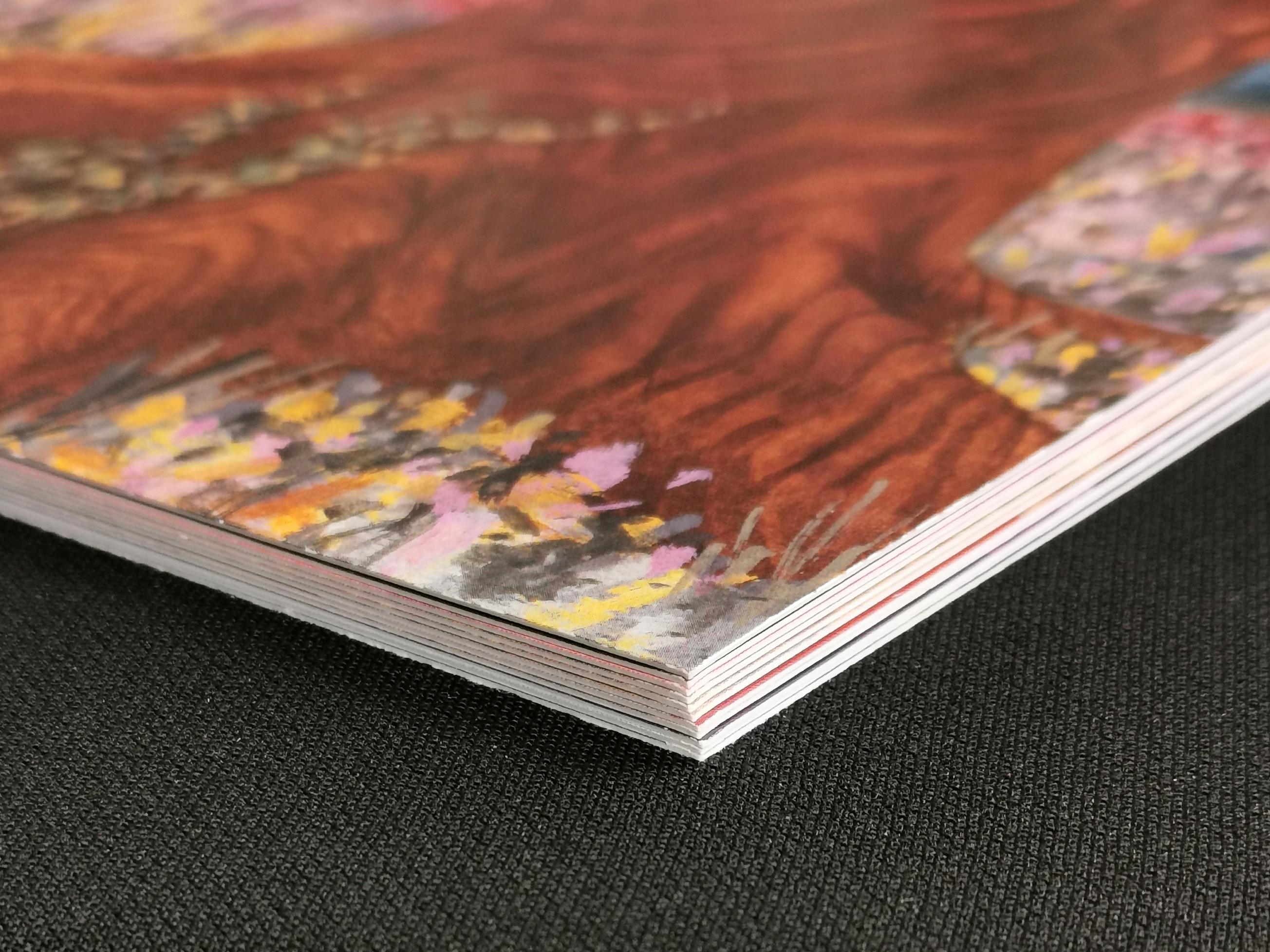 planches illustrées d'une histoire de nature