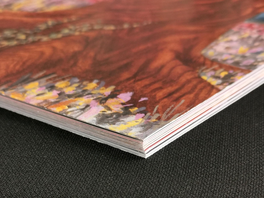 planches illustrées d'une histoire de nature